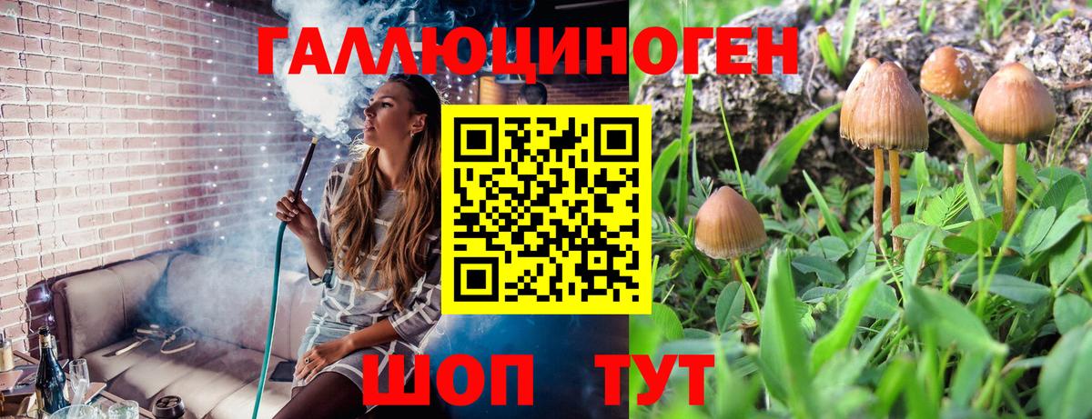 Галлюциногенные грибы Cubensis Кириши