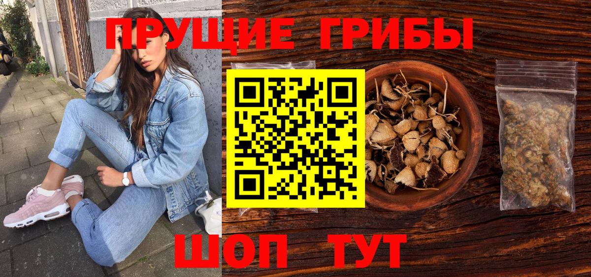 Кириши  Галлюциногенные грибы MAGIC MUSHROOMS  Вход с VPN 